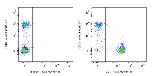 Rat Anti-Mouse CD4 antibody (S-1259-5)