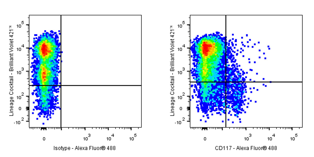 Alexa Fluor® 488 Rat Anti-Mouse CD117 Antibody (2B8)