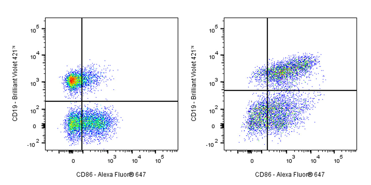 Alexa Fluor® 647 Rat Anti-Mouse CD86/B7-2 Antibody (GL-1)