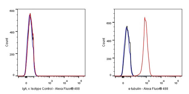 Mouse mAb IgA, κ Isotype Control (S-844-79-1)