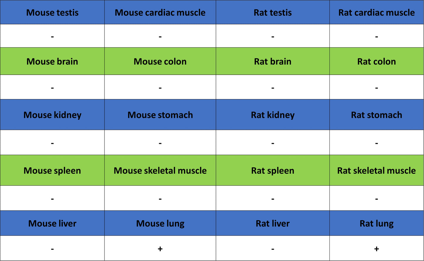 Uteroglobin Recombinant Rabbit mAb (S-6021)