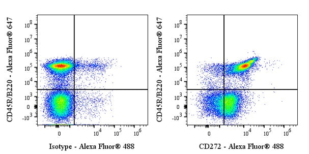 Invivo anti-Mouse CD272 Recombinant mAb