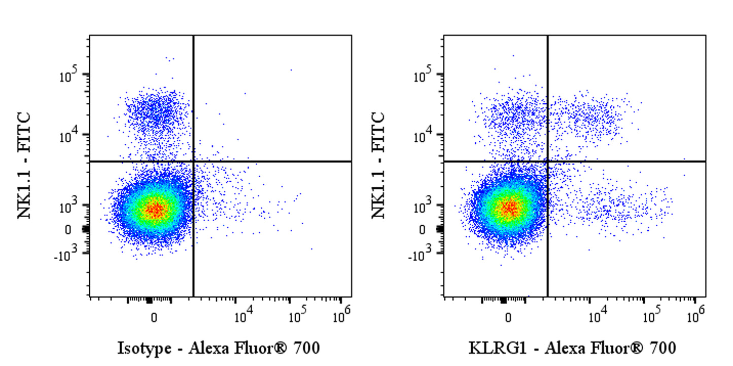Alexa Fluor® 700 Armenian hamster Anti-Mouse/Human KLRG1 Antibody (2F1)