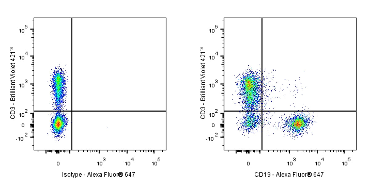Alexa Fluor® 647 Rat Anti-Mouse CD19 Antibody (1D3)