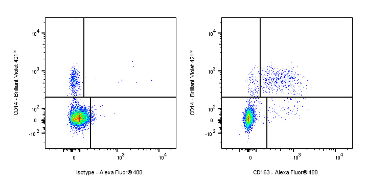 Mouse Anti-Human CD163 Antibody (GHI/61)