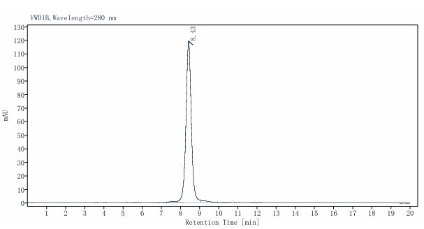 E2/Envelope2 His Tag Protein, Chikungunya virus CHIKV
