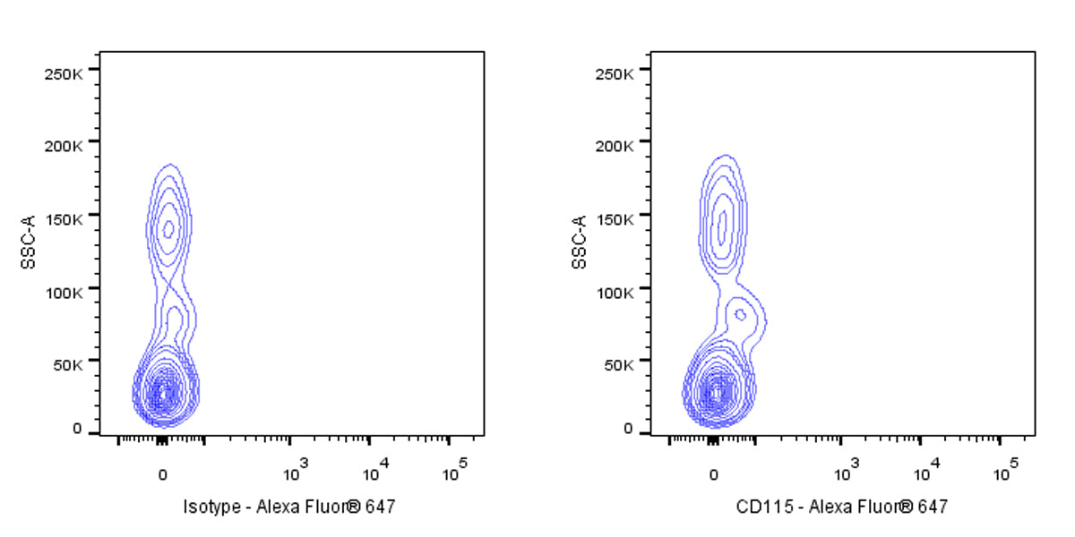 Rat Anti-Human CD115 Antibody (S-R722)
