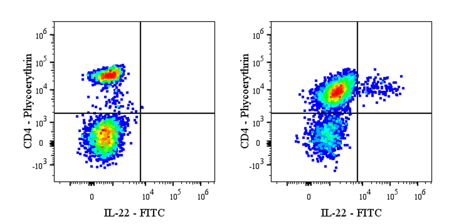 FITC Mouse Anti-Human IL-22 Antibody (S-3255)