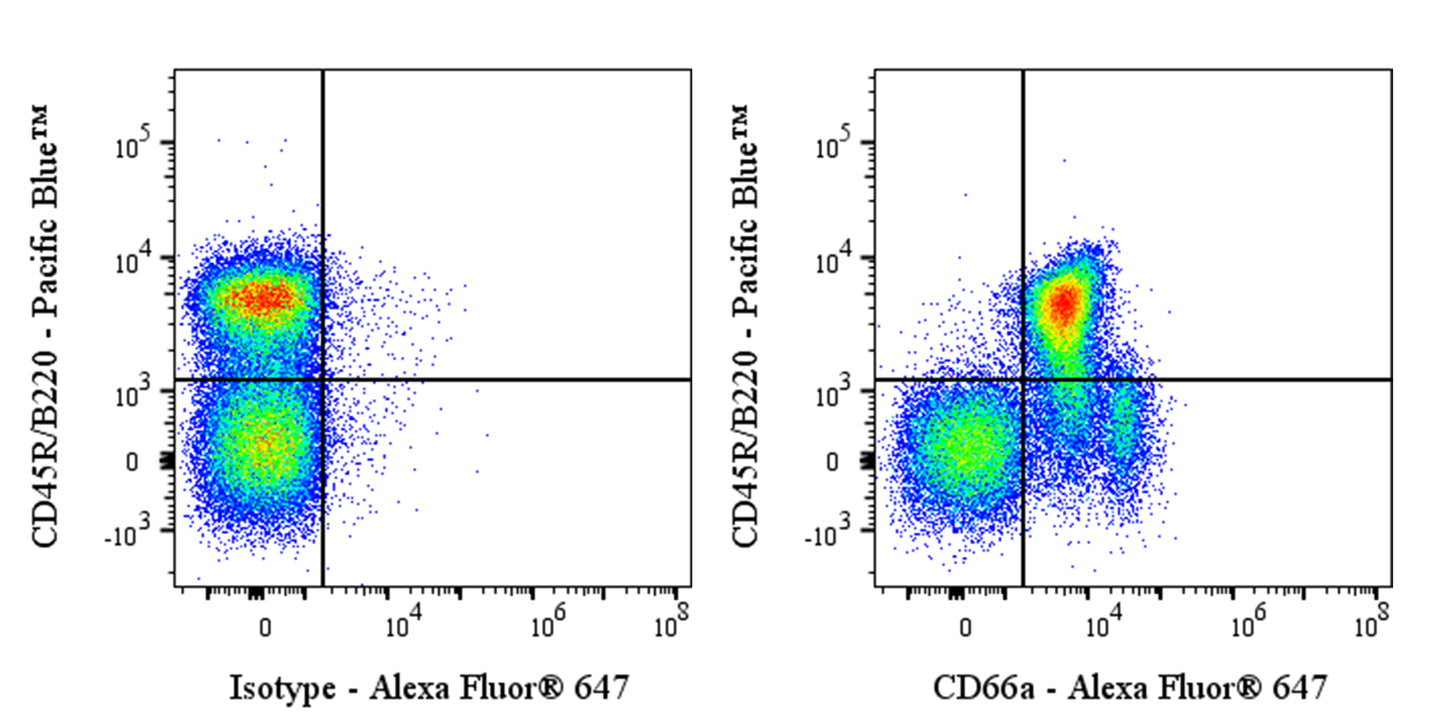 Alexa Fluor® 647 Mouse Anti-Mouse CD66a Antibody (S-3301)