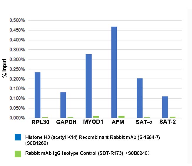 Histone H3 (acetyl K14) Recombinant Rabbit mAb (S-1664-7)