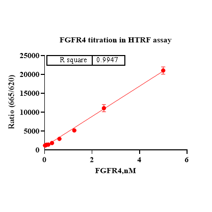Product image media