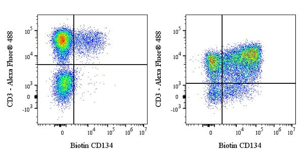 Biotin Mouse Anti-Human CD134 Antibody (ACT35)