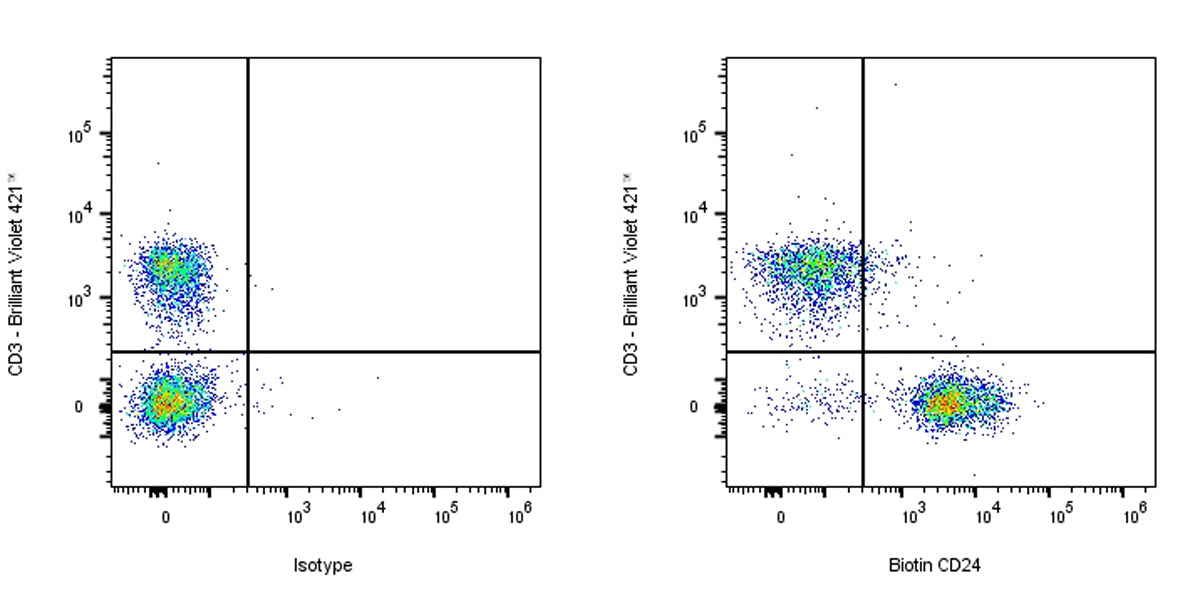 Biotin Rat Anti-Mouse CD24 Antibody (M1/69)