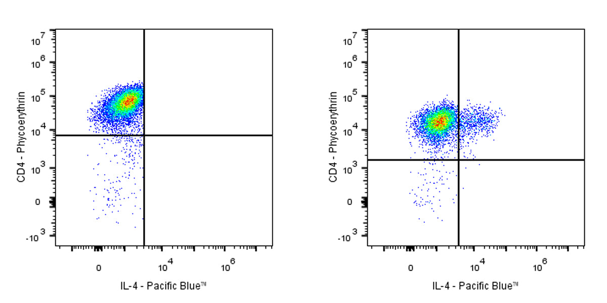 Pacific Blue Rat Anti-Human IL-4 Antibody (MP4-25D2)