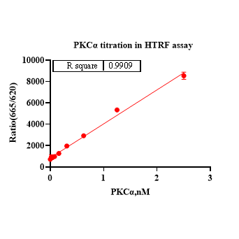 Product image media