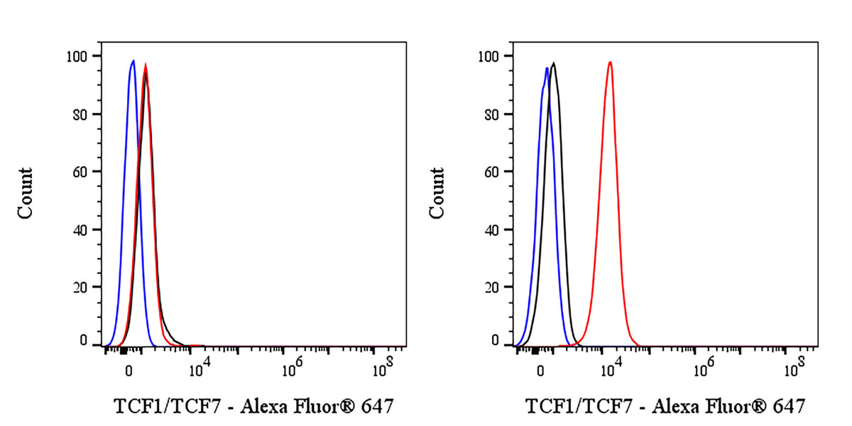 TCF1/TCF7 Recombinant Rabbit mAb (Alexa Fluor® 647 Conjugate) (S-3486)
