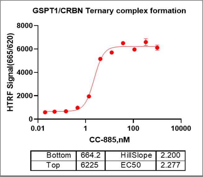 GSPT1 GST tag Protein, Human