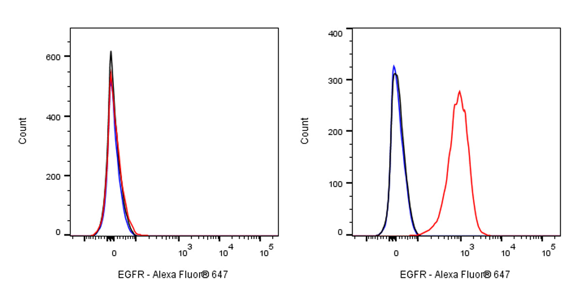 Anti-EGFR Monoclonal Antibody(Cetuximab)