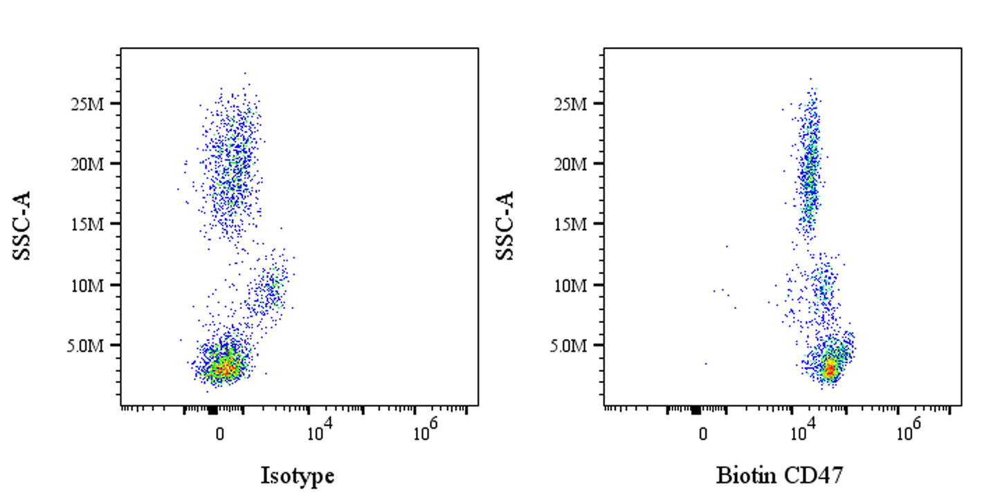 Biotin Mouse Anti-Human CD47 Antibody (S-3383)