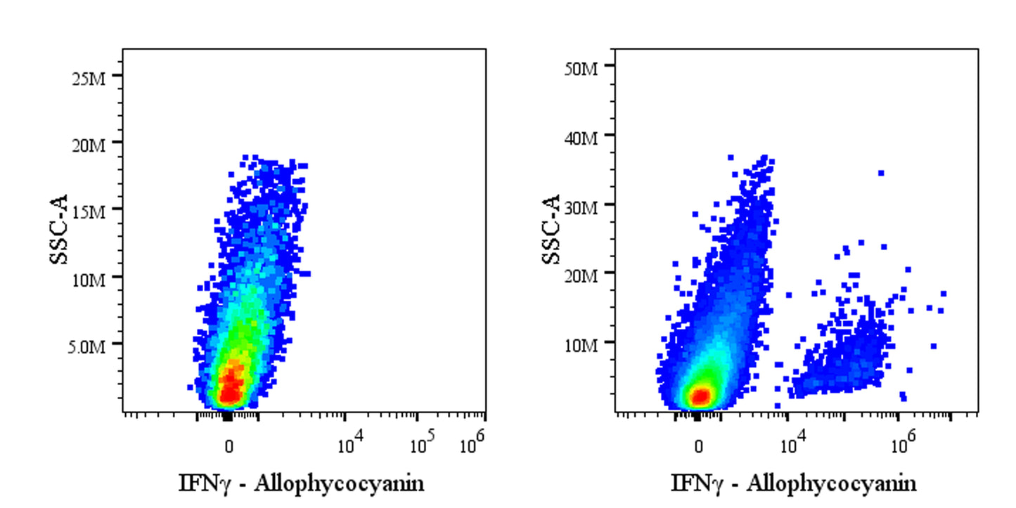 APC Rat Anti-Mouse IFNγ Antibody (XMG1.2)