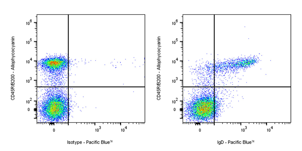 Pacific Blue Rat Anti-Mouse IgD Antibody (S-R622)