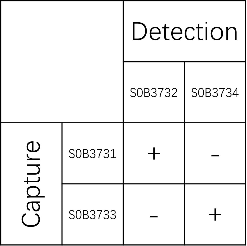 Mouse C4 Recombinant mAb (SDT-2628-241)