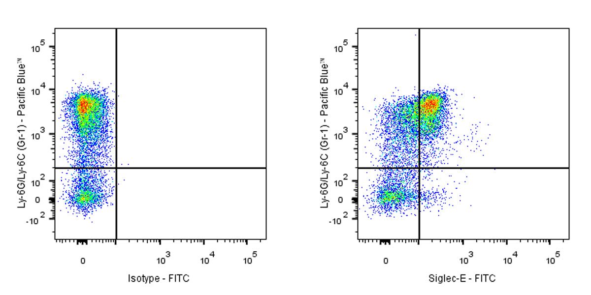 FITC Rat Anti-Mouse Siglec-E Antibody (S-3881)