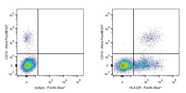 Pacific Blue Mouse Anti-Human HLA-DR Antibody (L243)