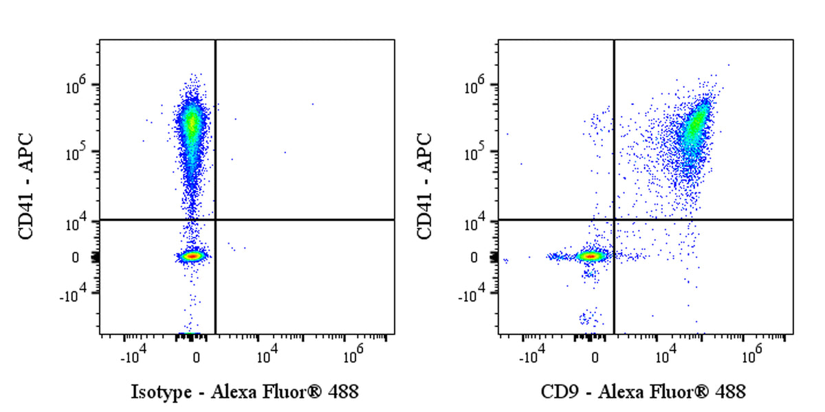 Alexa Fluor® 488 Rabbit Anti-Human CD9 Antibody (S-143-53)