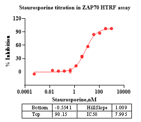 ZAP70 Protein