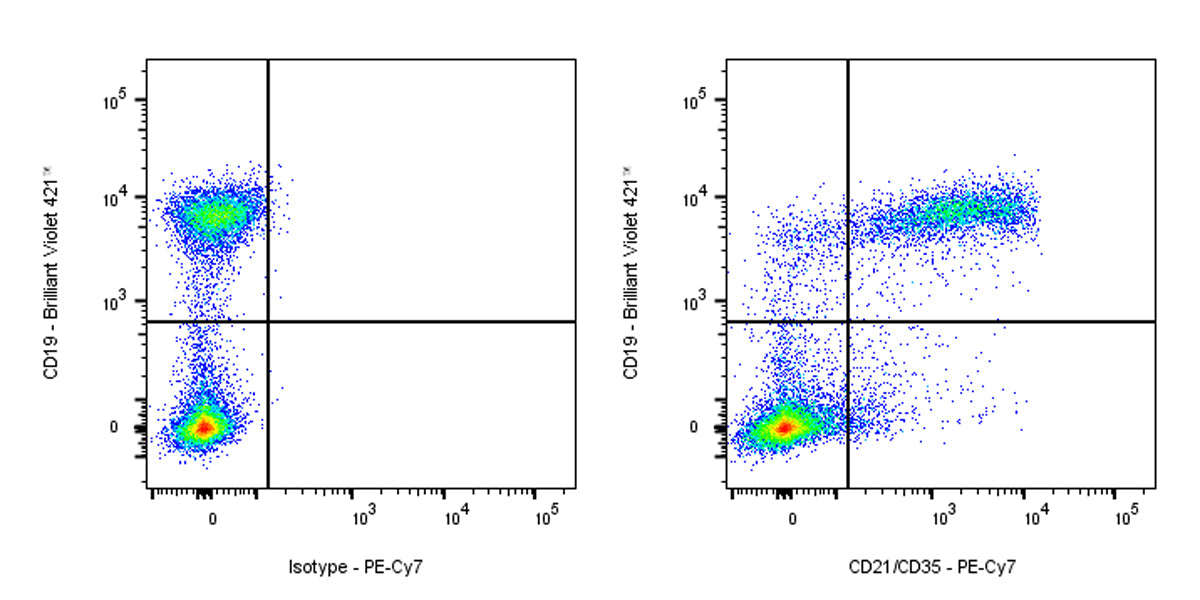 PE-Cy7 Rat Anti-Mouse CD21/CD35 Antibody (7E9)