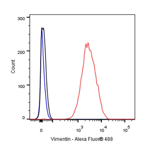 Vimentin Recombinant Rabbit mAb (SDT-029-120)