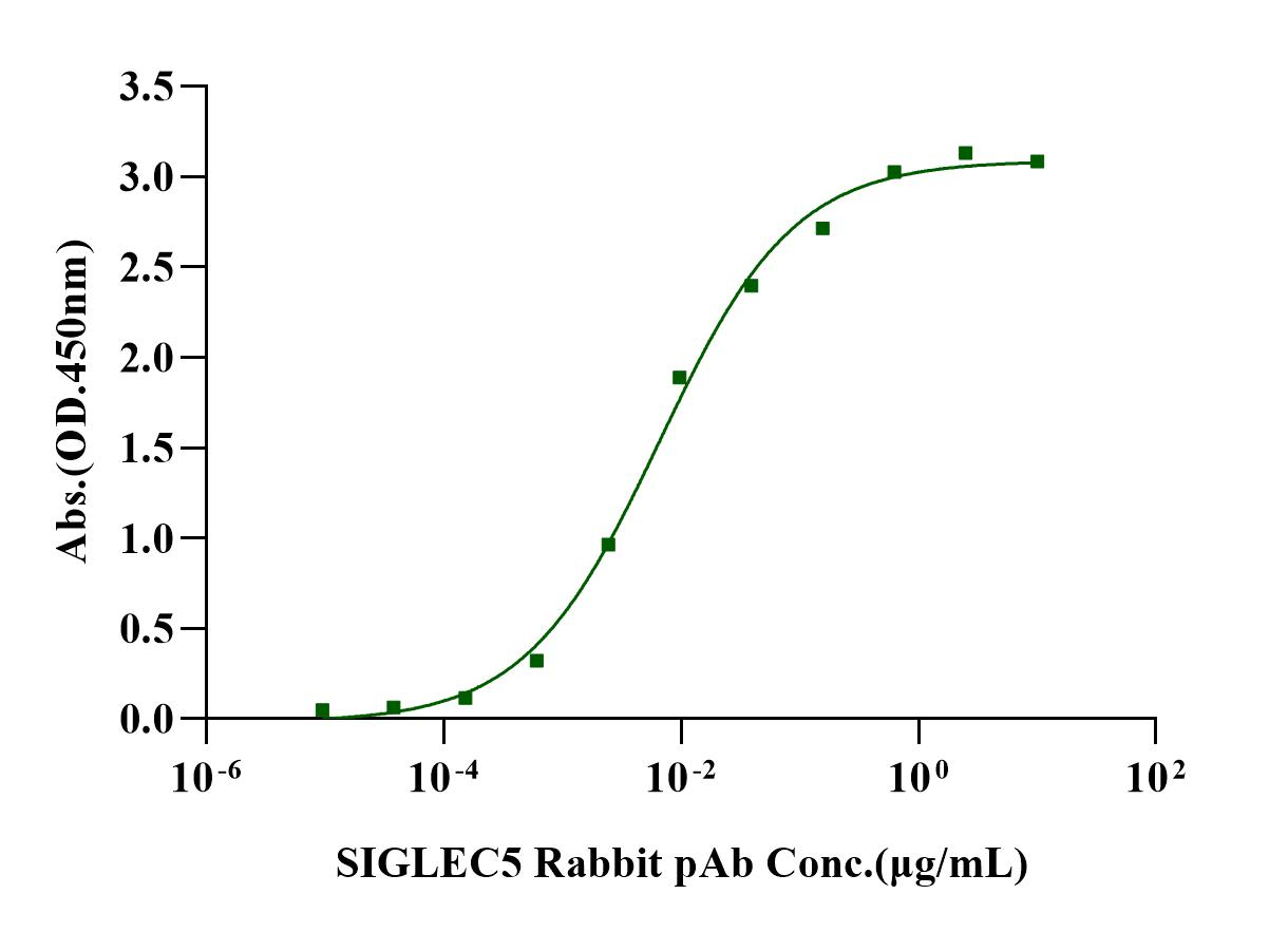 Siglec-5 His Tag Protein, Human