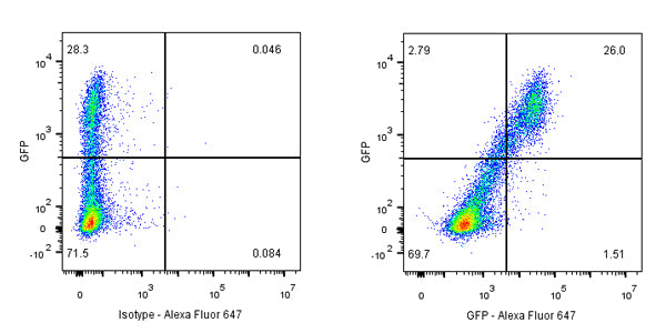 GFP Recombinant Rabbit mAb (S-296-32)