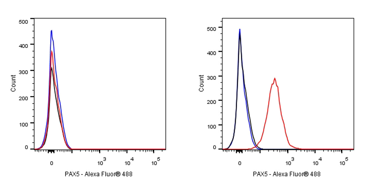 S-RMab® PAX5 Recombinant Rabbit mAb (SDT-R202)