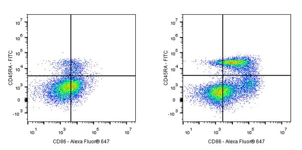 Alexa Fluor® 647 Mouse Anti-Rat CD86 Antibody (24F)