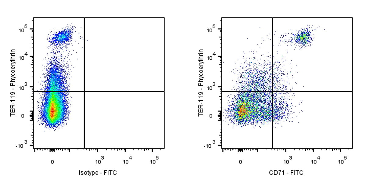 FITC Rat Anti-Mouse CD71 Antibody (RI7217)