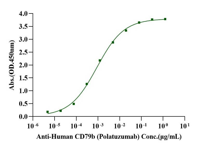 CD79B His Tag Protein, Human