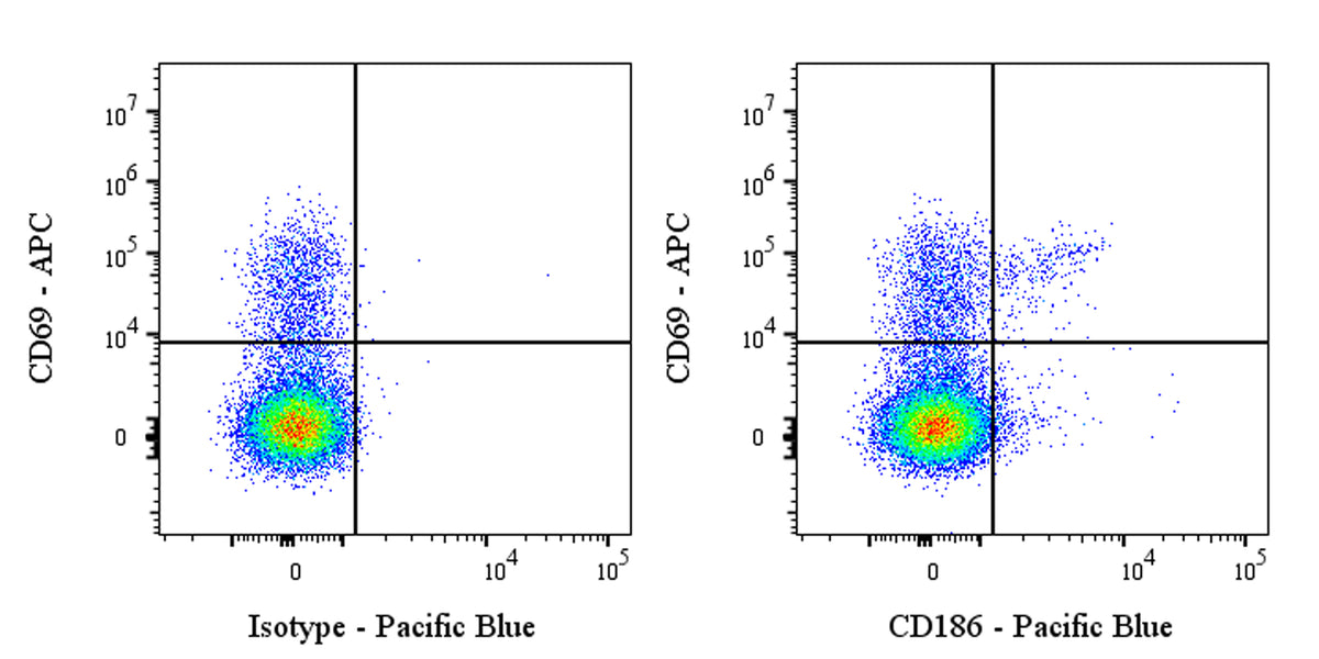 Pacific Blue Rat Anti-Mouse CD186 Antibody (S-R602)