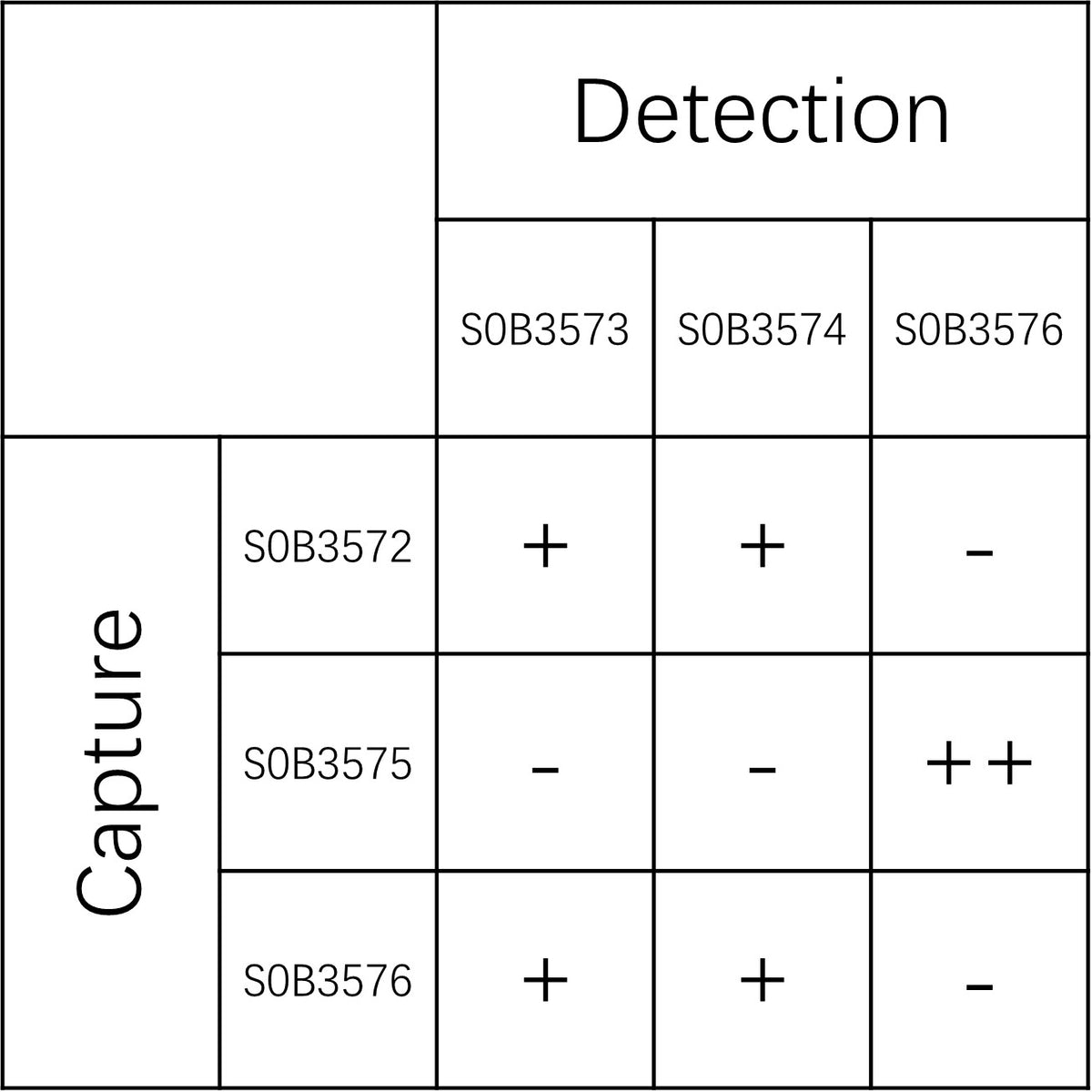 Mouse IL-13 Recombinant mAb (SDT-2177-113)