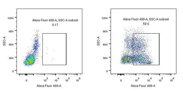 CD45RA Recombinant Mouse mAb (HI100)