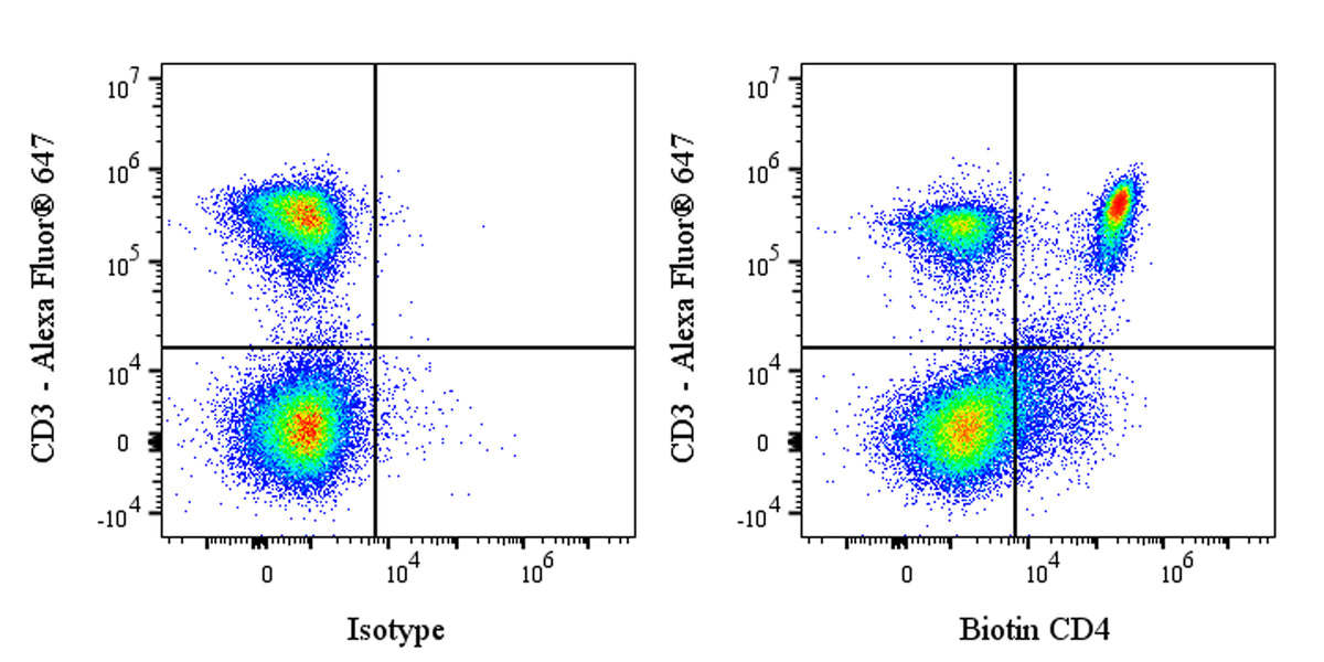 Biotin Rat Anti-Mouse CD4 Antibody (YTS 191)