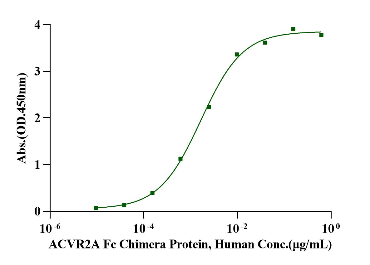 ACVR2A Fc Chimera Protein, Human