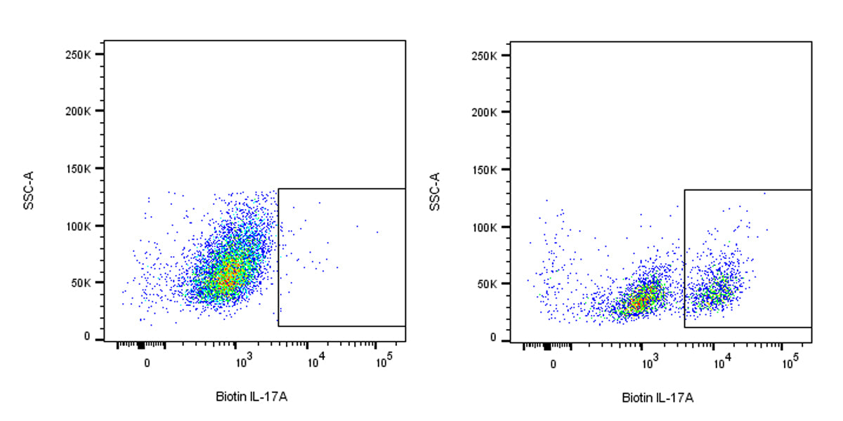Biotin Rat Anti-Mouse IL-17A Antibody (S-R683)