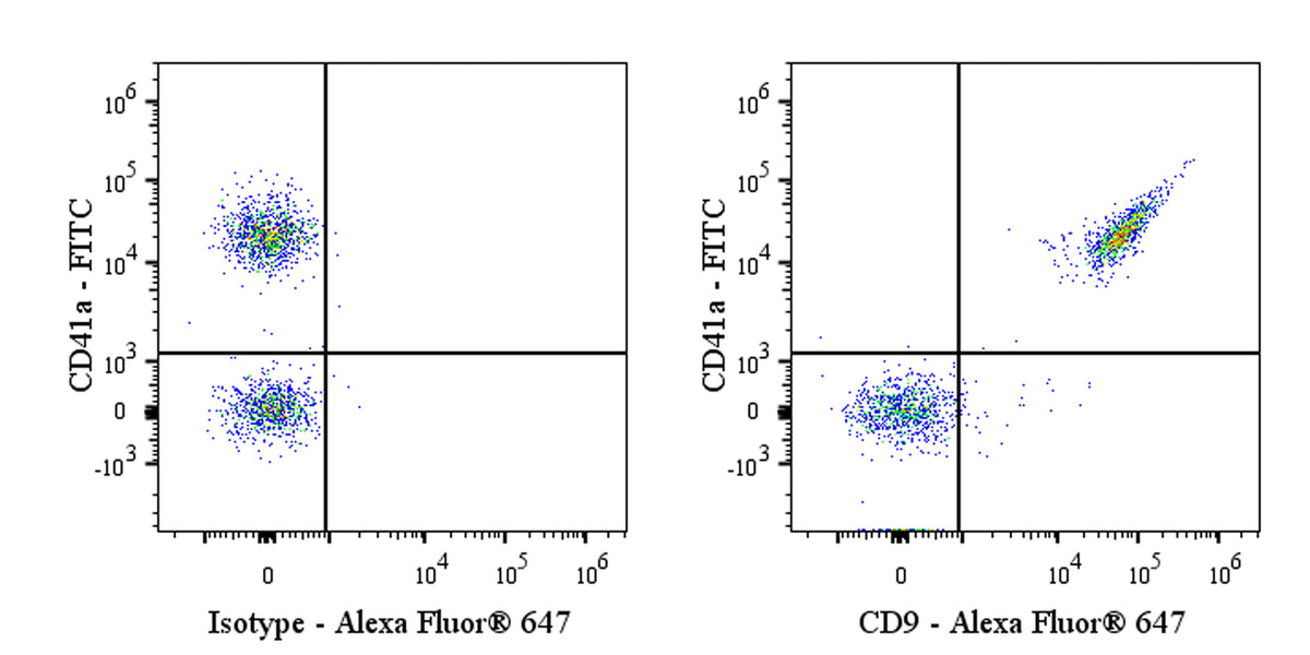 Alexa Fluor® 647 Rabbit Anti-Human CD9 Antibody (S-143-53)