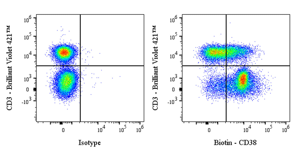 Biotin Mouse Anti-Human CD38 Antibody (S-R507-3)