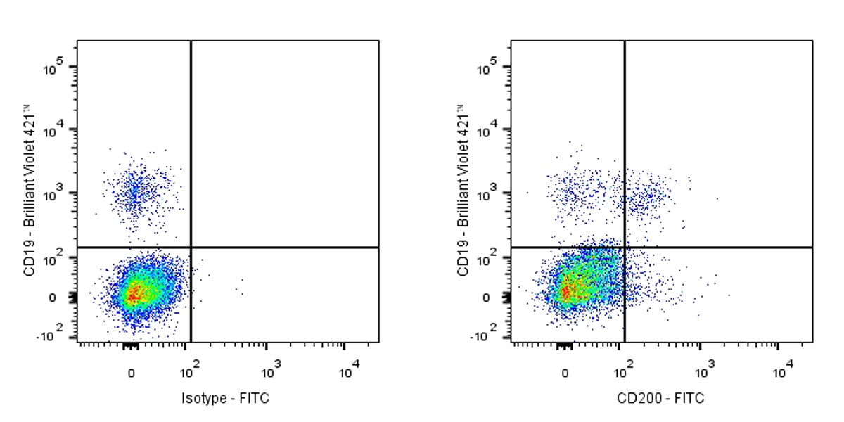 FITC Rabbit Anti-Human CD200 Antibody (S-1008-60)