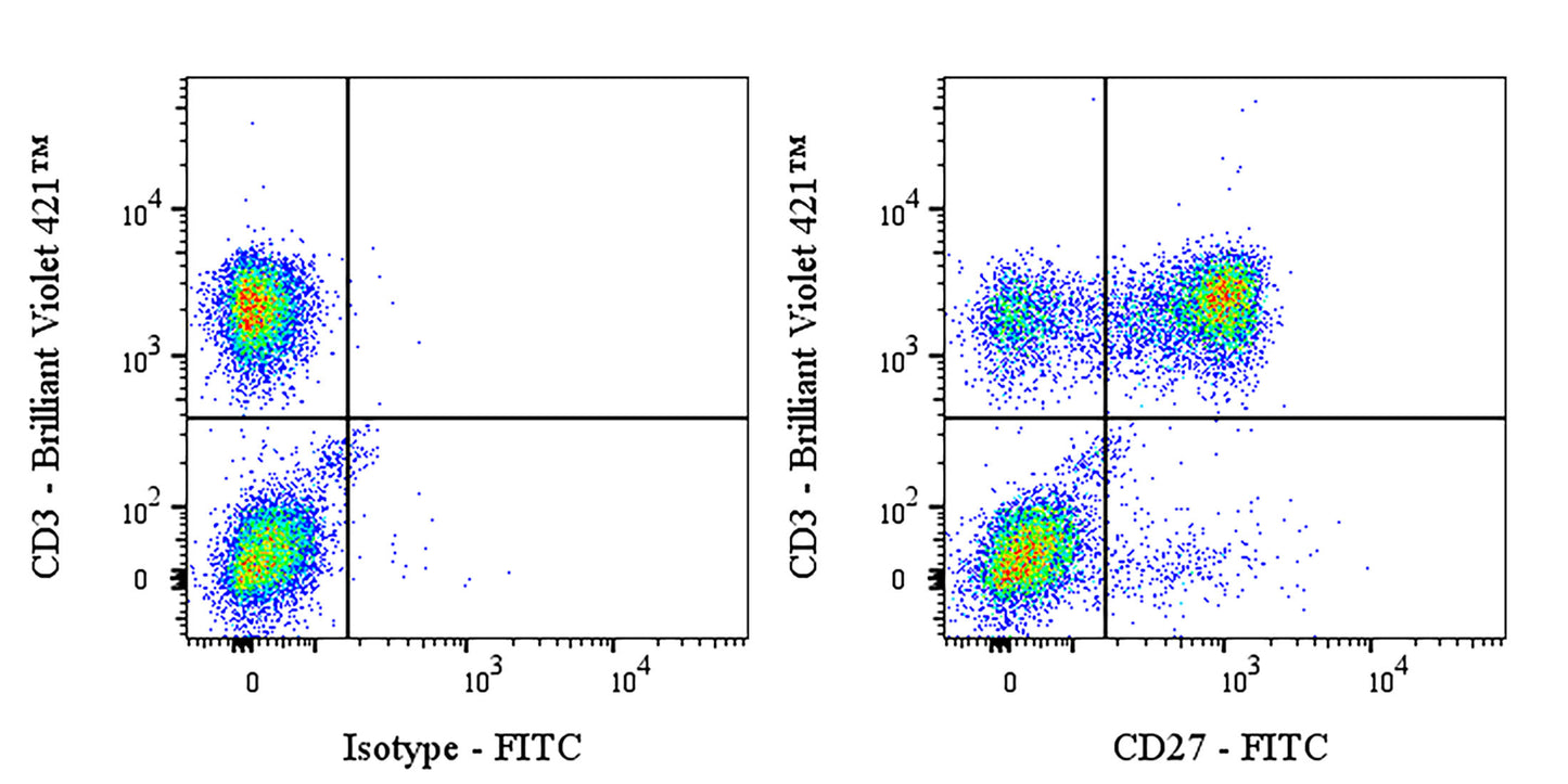 FITC Mouse Anti-Human CD27 Antibody (M-T271)