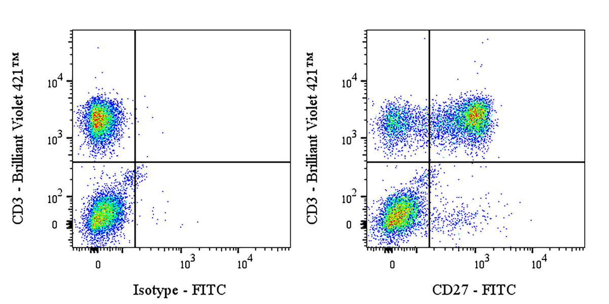 FITC Mouse Anti-Human CD27 Antibody (M-T271)