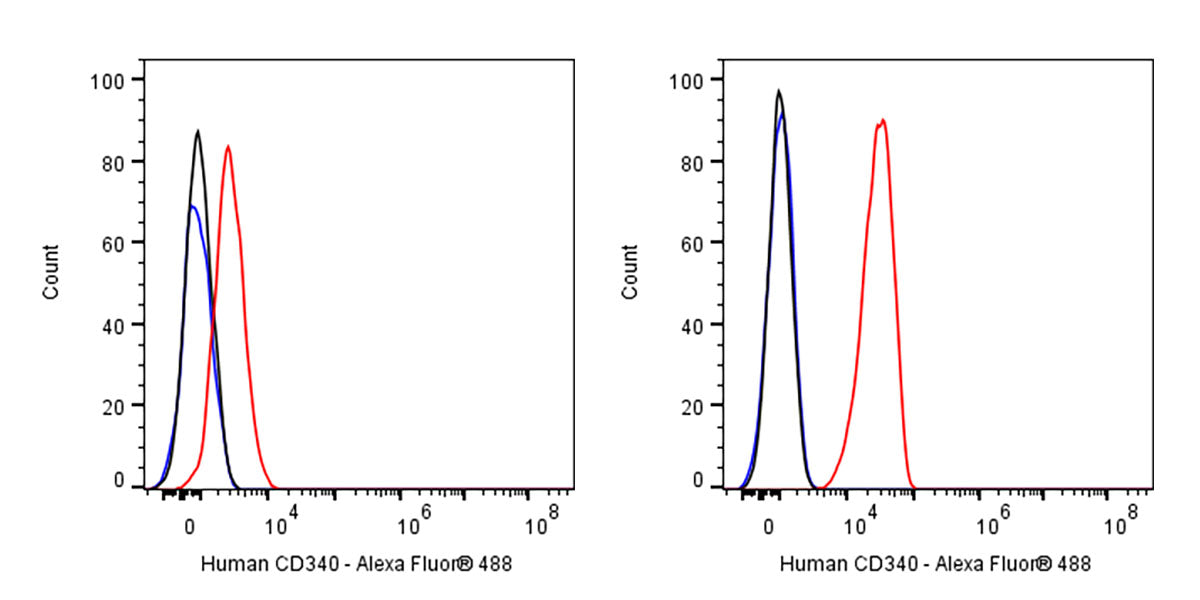 Mouse Anti-Human CD340 Antibody (S-3018)